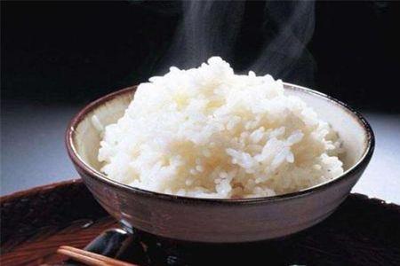 狼能吃米饭吗