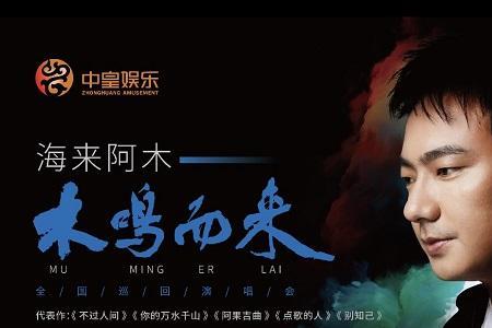 海来阿木孤独的人表达了什么