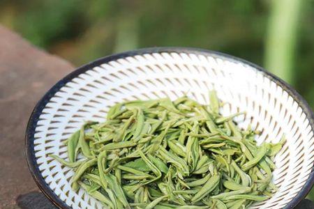 春露茶什么意思