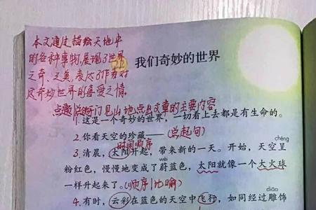 22课我们奇妙的世界主要内容