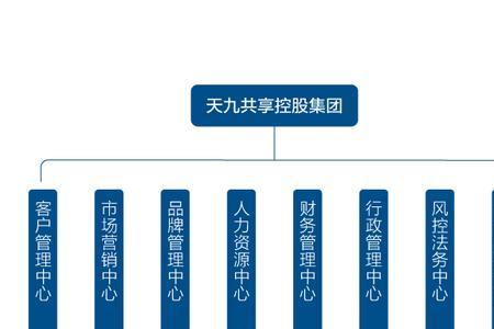 天九共享集团是干嘛的靠谱吗