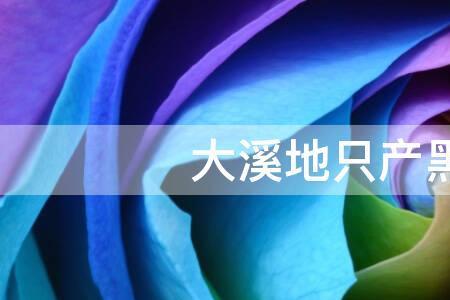 中心岛黑珍珠哪里多