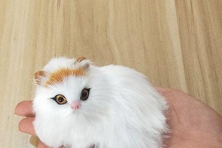 修罗的游戏猫小喵饰演者