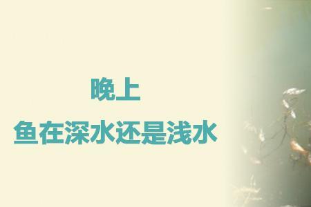 鱼喜欢岸边还是河中心