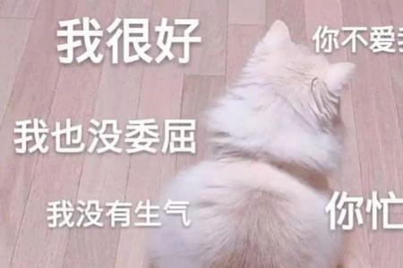 别人叫女朋友宝贝我该生气吗