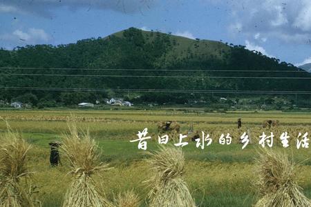 乡村生活概括