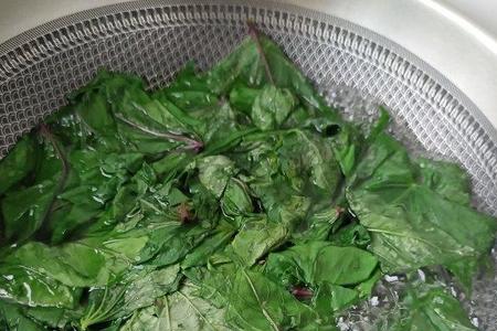 红薯叶烧汤要焯水过吗