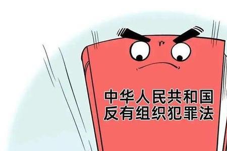 什么是反有组织