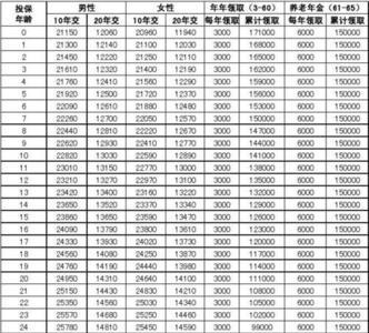 鑫鸿人生两全保险分红型