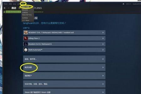 steam余额可以买游戏吗
