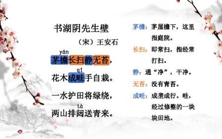 书湖阴先生壁中的湖是什么意思