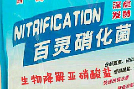 硝化、反硝化菌怎么培养