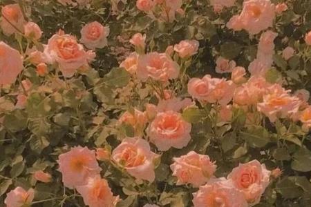 爱都爱了文案致自己