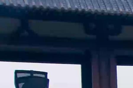 赵匡胤真的是q系基因吗