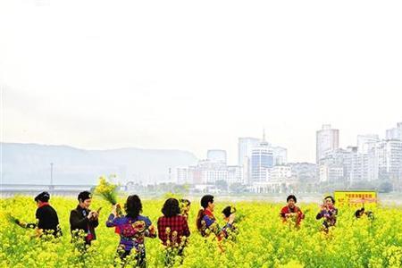 城里春光好,城外什么