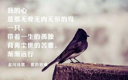 心无所属是什么意思