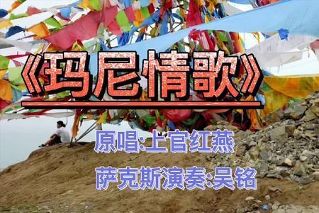 与玛尼情歌节奏相似的歌曲