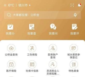 宁夏健康码叫什么