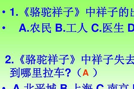 骆驼祥子第二章出场人物