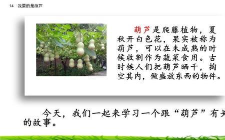 我要的是葫芦谢的意思