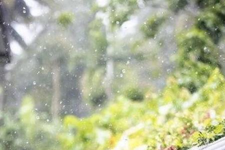 繁华四季不及你满目柔情意思