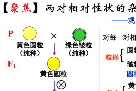 相对性状名词解释