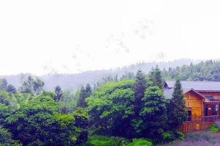 江心洲迷雾森林花海几月