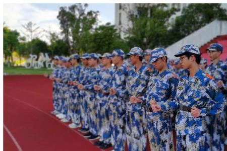 胸有凌云志心存报国魂的意思
