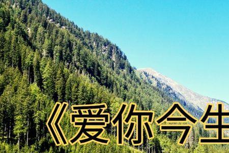 爱你就爱一辈子原唱