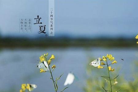 立夏的雨怎么形容