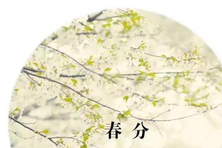 春分节气歌歌词