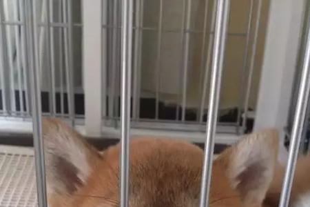 动不动就凶人是什么意思