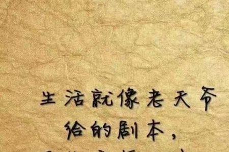 我不傻你待我真心或假意的诗句