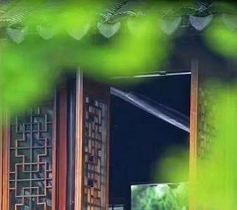 听窗外的声音是哪首歌