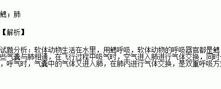与呼吸有关的成语
