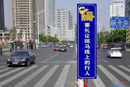 2020新交规斑马线限速标准