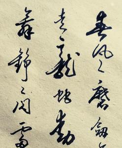 荆楚可以暗含飘零之意吗