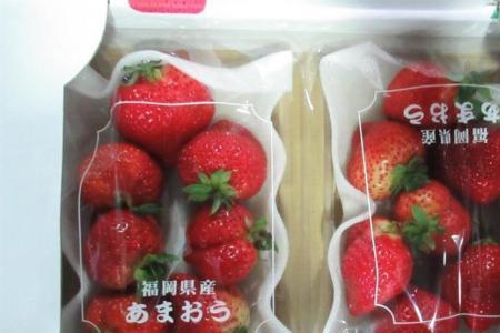 日本到中国 的草莓运输费用