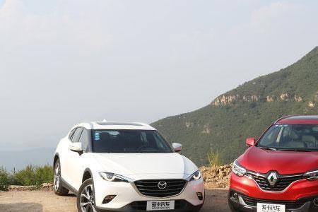 取向不同什么意思