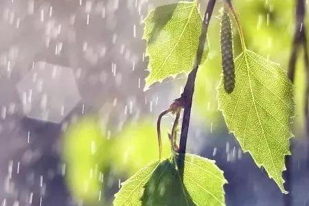 春雨无声润万物下联是什么