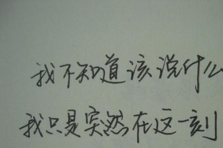 沉默是金的诗句