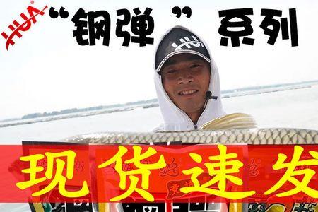 钢蛋饵料是什么味型的
