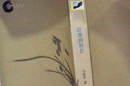 脚步声很大重形容词