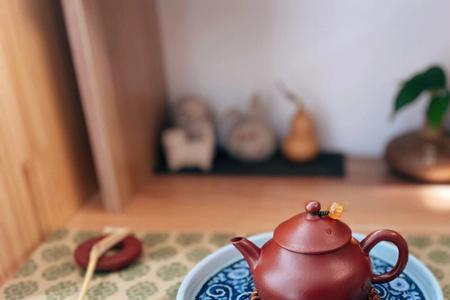 陆明松为什么对小暖好