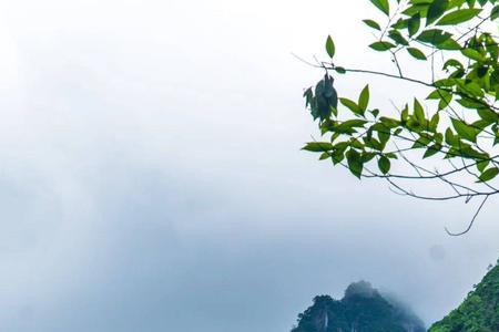 女生发大山照片给你怎么回复