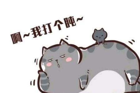 何以解忧，唯有睡觉的意思