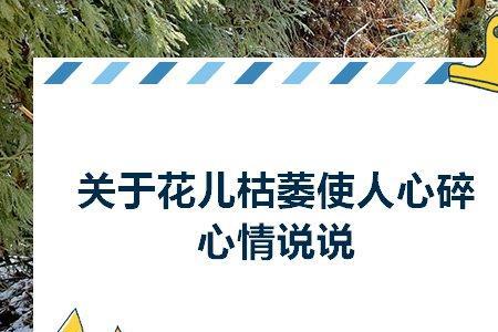 整个人都蔫了的心情语句