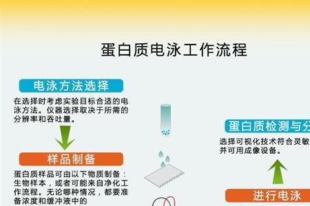 1rad每秒等于多少转