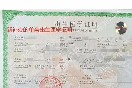 派出所有孩子的出生证明吗
