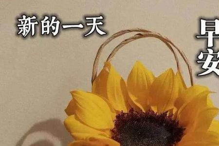 四川话早上好的句子